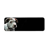 Puppy Pit Bull T-Bone Etiket (Voorkant)
