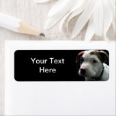 Puppy Pit Bull T-Bone Etiket (Insitu)