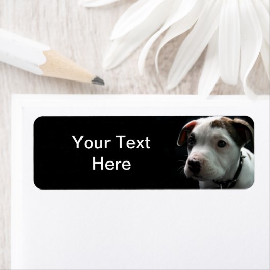 Puppy Pit Bull T-Bone Etiket (Insitu)