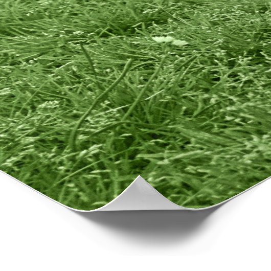 Puppy Pit Bull T-Bone Poster (Hoek)