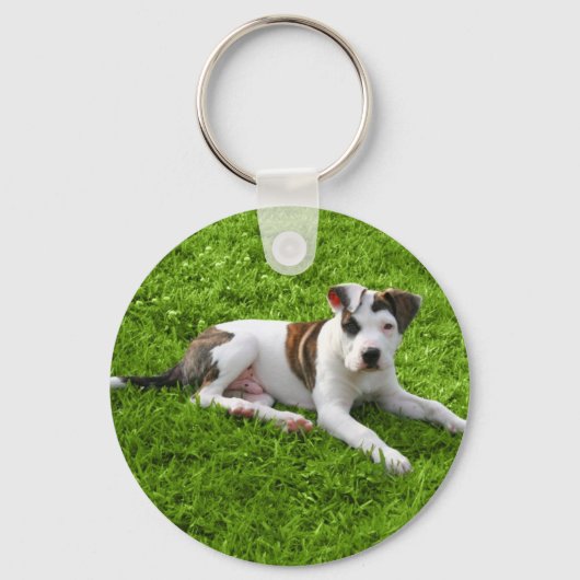 Puppy Pit Bull T-Bone Sleutelhanger (Voorkant)