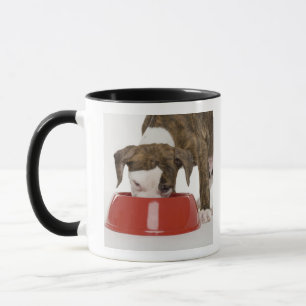 Puppy pitbull eet uit gerecht mok
