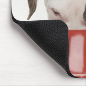 Puppy pitbull eet uit gerecht muismat (Hoek)