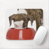 Puppy pitbull eet uit gerecht muismat (Met muis)