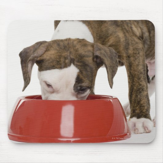 Puppy pitbull eet uit gerecht muismat (Voorkant)