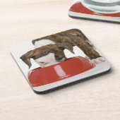 Puppy pitbull eet uit gerecht onderzetter (Linkerzijde)