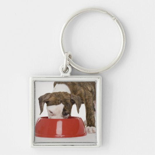 Puppy pitbull eet uit gerecht sleutelhanger (Voorkant)