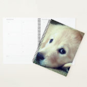 Puppy Planner (Display)