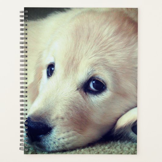 Puppy Planner (Voorkant)