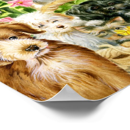 Puppy Play Poster (Hoek)