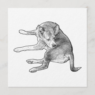 Puppy Plezierige Bijeenkomst Kaart