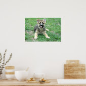 Puppy Poster (Keuken)