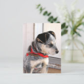 Puppy Pozed Briefkaart (Staand voorkant)