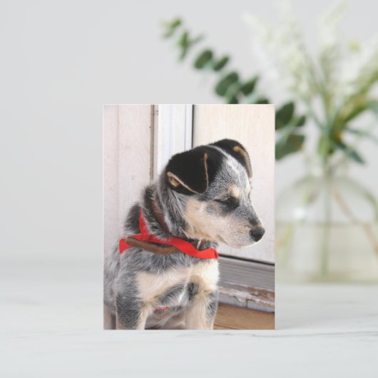 Puppy Pozed Briefkaart (Staand voorkant)