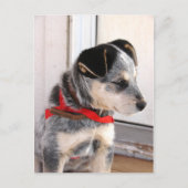 Puppy Pozed Briefkaart (Voorkant)