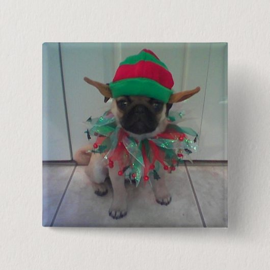 Puppy Pug Elf vierkante knop, pin Button 5,1 Cm (Voorkant)