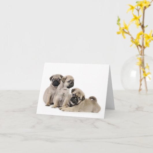 Puppy Puppy Kaart (Gele Bloem)