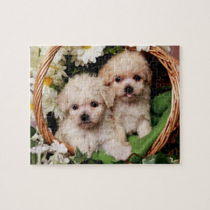 Puppy Puzzles Legpuzzel