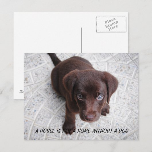 Puppy Quote Briefkaart (Voorkant / Achterkant)