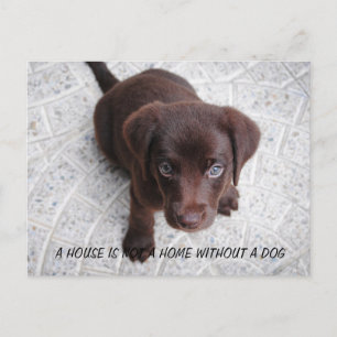 Puppy Quote Briefkaart