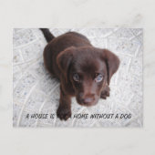 Puppy Quote Briefkaart (Voorkant)