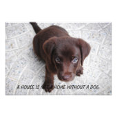 Puppy Quote Foto Afdruk (Voorkant)