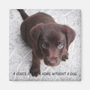 Puppy Quote Magneet
