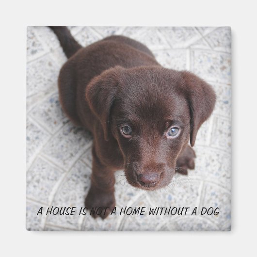 Puppy Quote Magneet (Voorkant)