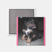 Puppy raspberry magnet (Voorkant / Achterkant)