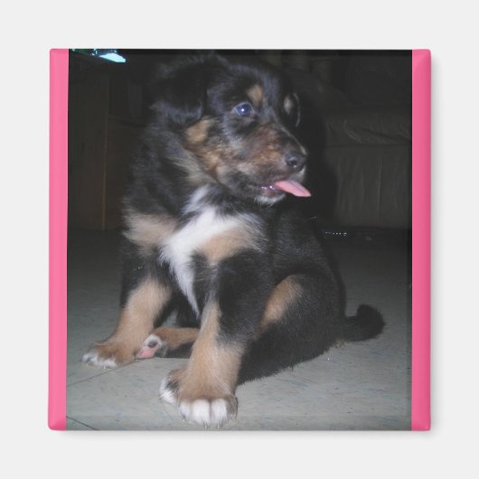Puppy raspberry magnet (Voorkant)