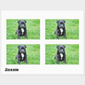 Puppy Rechthoekige Sticker (Vel)