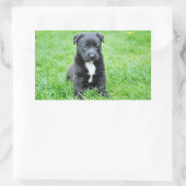 Puppy Rechthoekige Sticker (Tas)