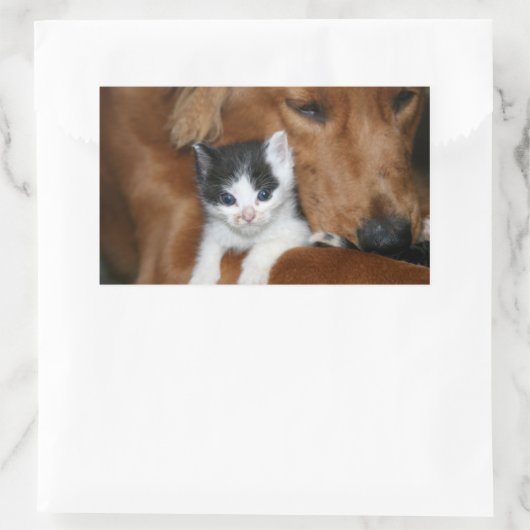 Puppy Rechthoekige Sticker (Tas)