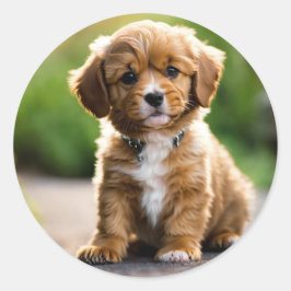 Puppy Ronde Sticker