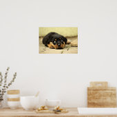 Puppy rottweiler poster (Keuken)