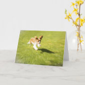 Puppy run op het Wenskaart Yard Kaart (Gele Bloem)