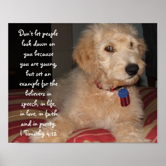 Puppy Sam Poster (Voorkant)