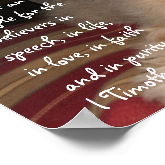 Puppy Sam Poster (Hoek)