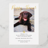 Puppy Shower Cute Personalized Dog Adoption Folie Uitnodiging (Voorkant)