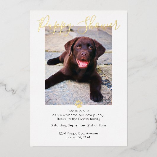 Puppy Shower Cute Personalized Dog Adoption Folie Uitnodiging (Voorkant)
