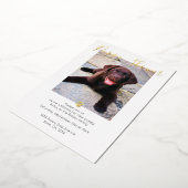 Puppy Shower Cute Personalized Dog Adoption Folie Uitnodiging (Gedraaid)