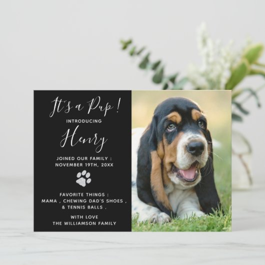 Puppy Shower Party - Elegant modern, zwart, nieuw  Kaart (Staand voorkant)