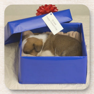 Puppy slapen in een cadeaudoos onderzetter