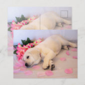 Puppy Sleep Flower 01 Aankondigingskaart (Voorkant / Achterkant)