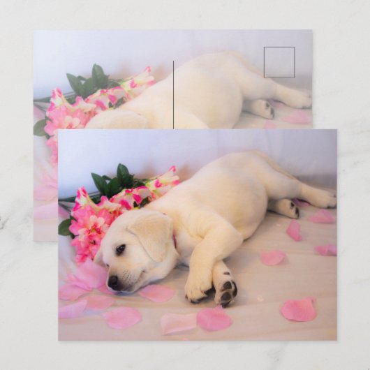 Puppy Sleep Flower 01 Aankondigingskaart (Voorkant / Achterkant)