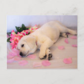 Puppy Sleep Flower 01 Aankondigingskaart (Voorkant)