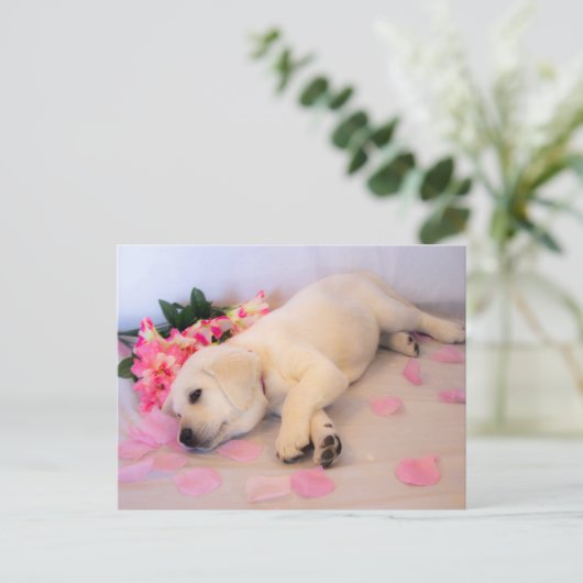 Puppy Sleep Flower 01 Aankondigingskaart (Staand voorkant)