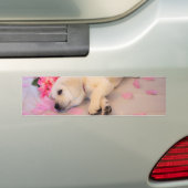 Puppy Sleep Flower 01 Bumpersticker (Op auto)