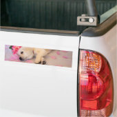 Puppy Sleep Flower 01 Bumpersticker (Op Truck)