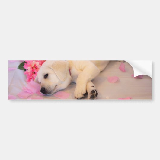 Puppy Sleep Flower 01 Bumpersticker (Voorkant)